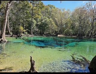 Image 82 For 2730 Mosquito Road