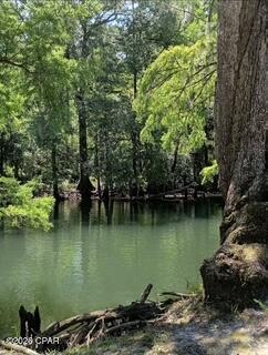 Image 84 For 2730 Mosquito Road
