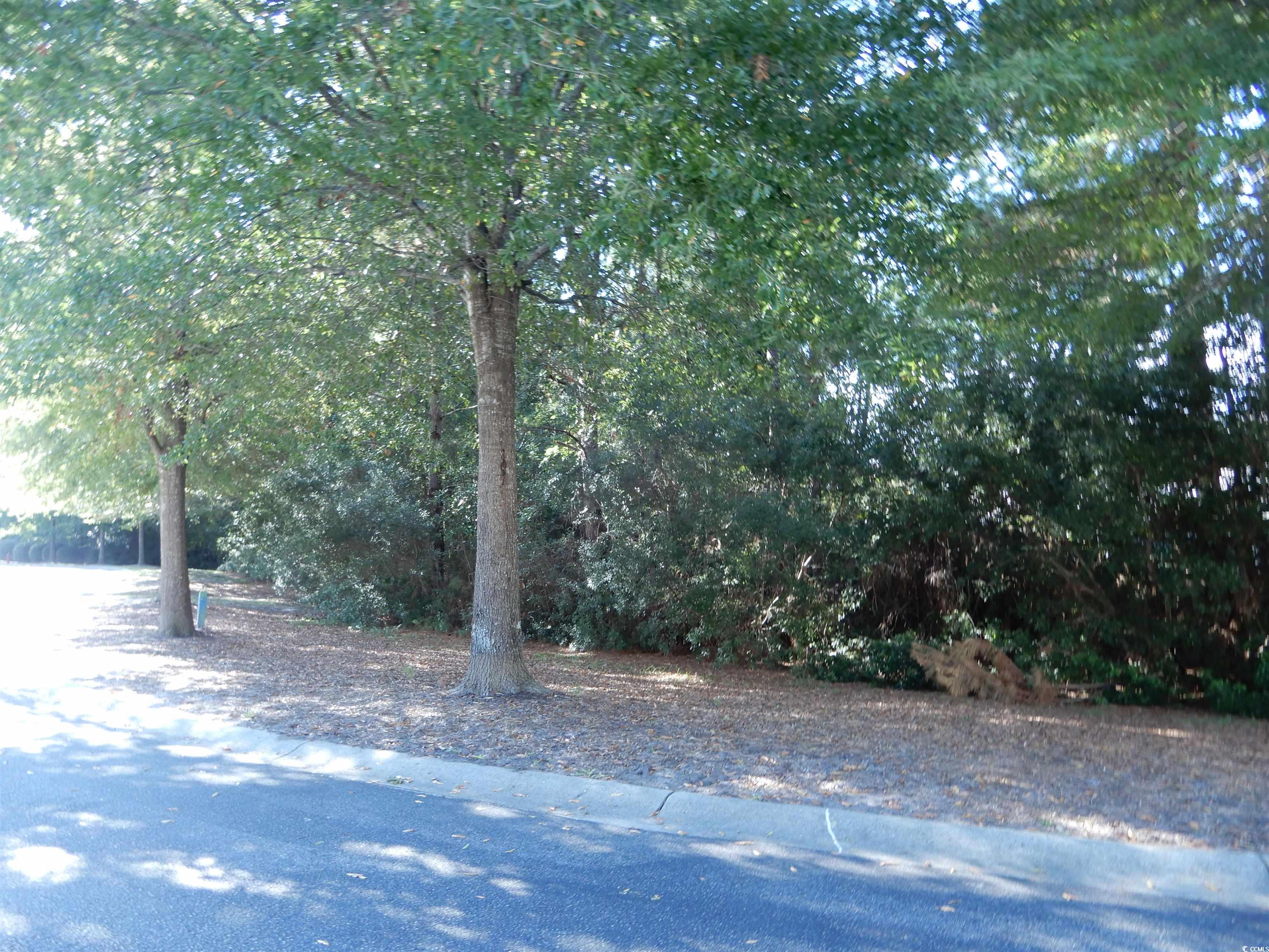 2523649 | Photo 18