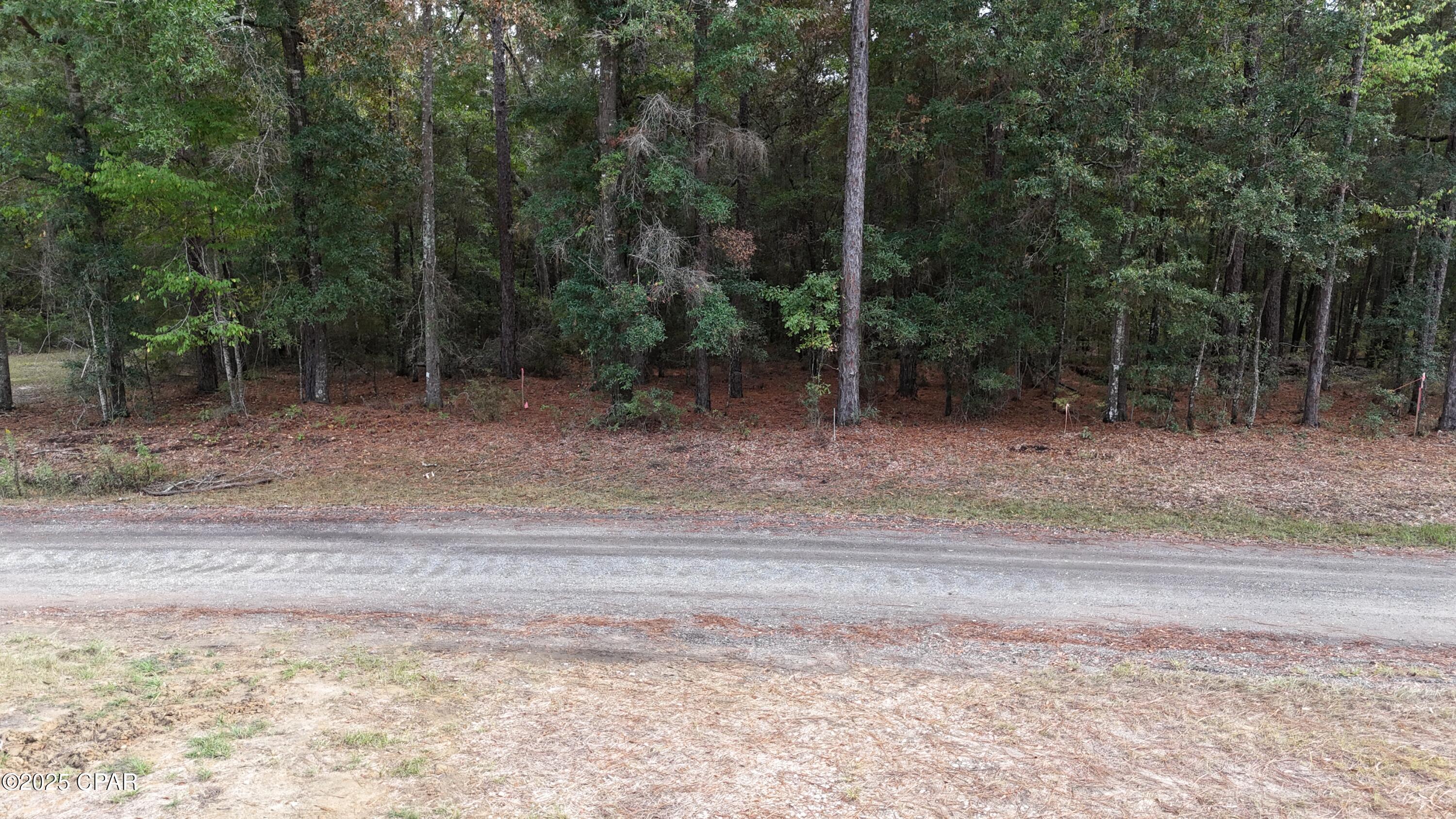 Image 1 For 00 Muir Lane