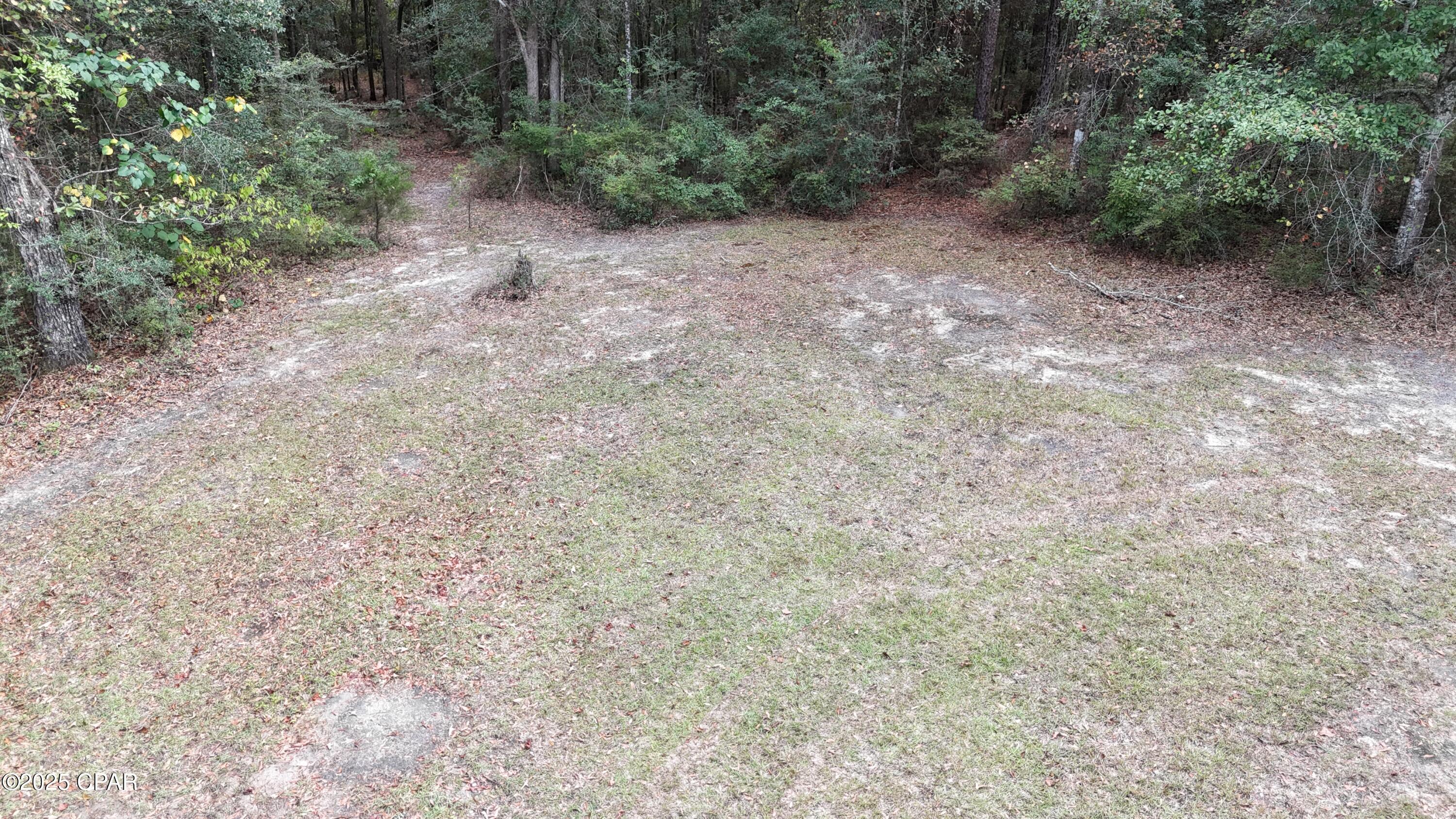 Image 4 For 00 Muir Lane