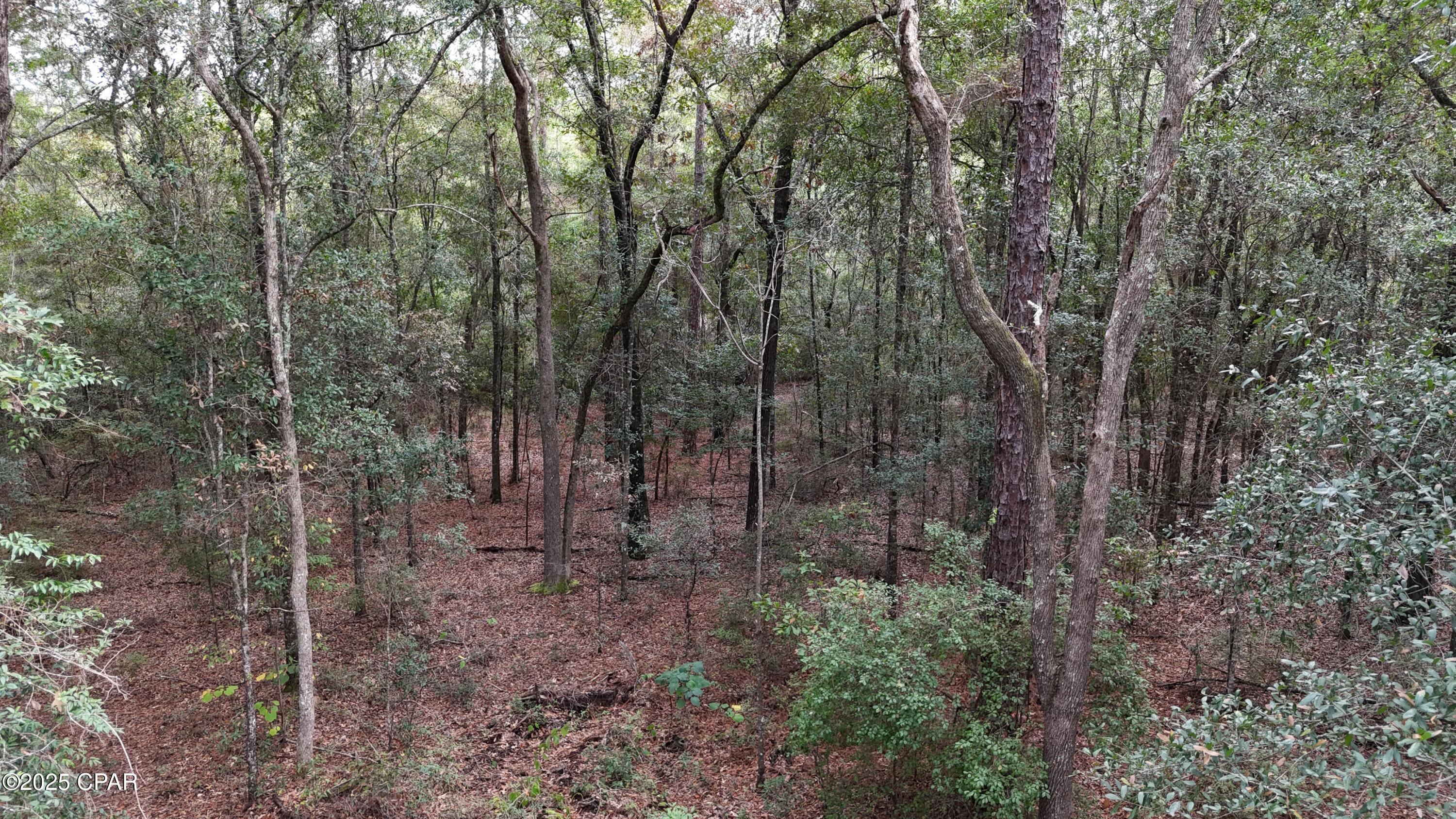 Image 5 For 00 Muir Lane