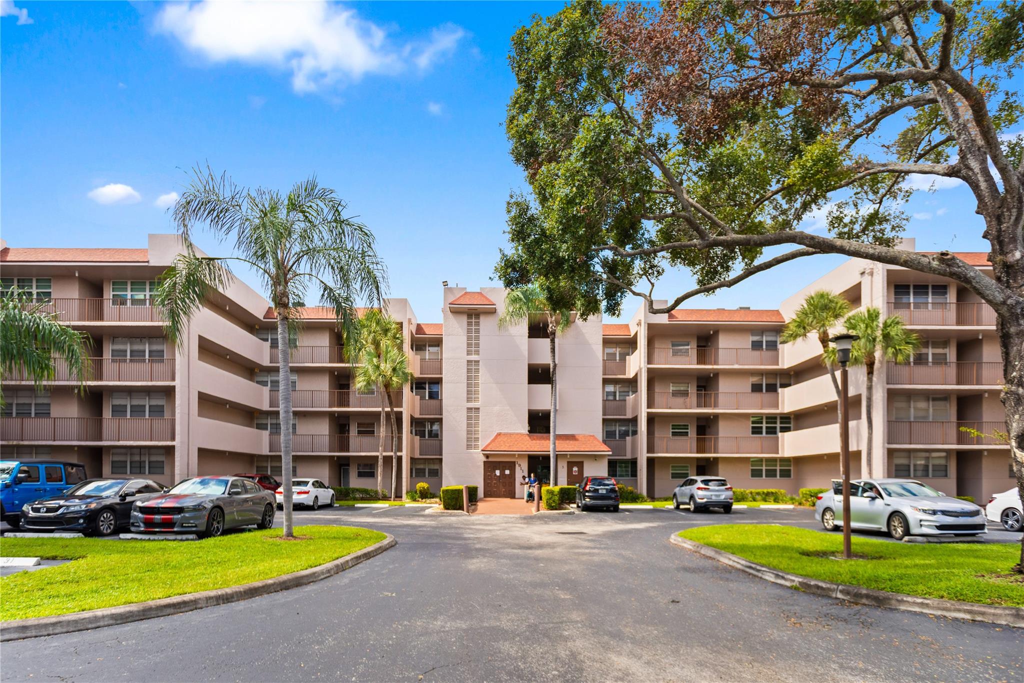 Sabal Palm At Pine Island