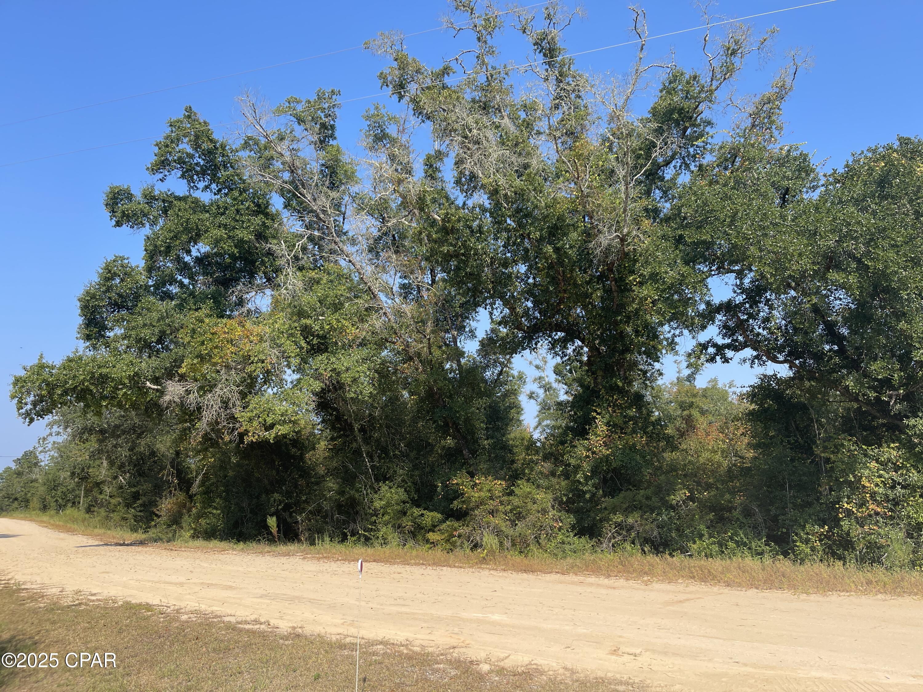 Details for 00 Union Drive, Alford, FL 32420