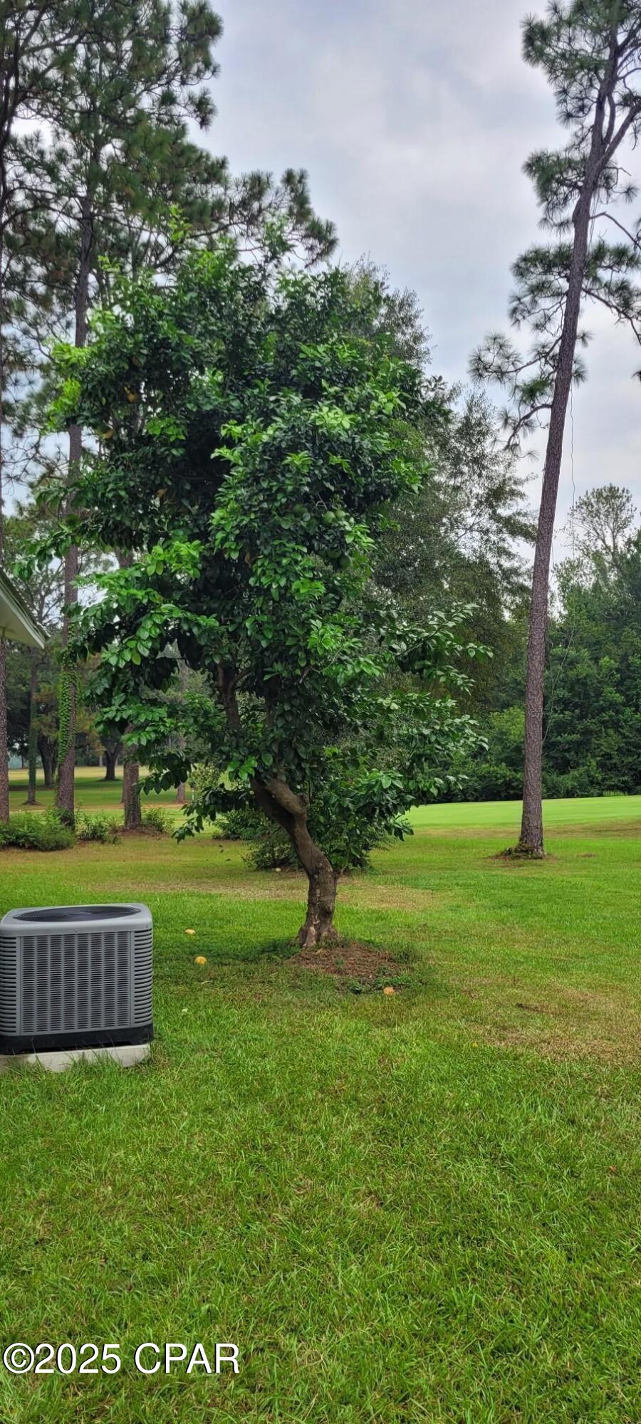 Image 51 For 2735 Muir Lane