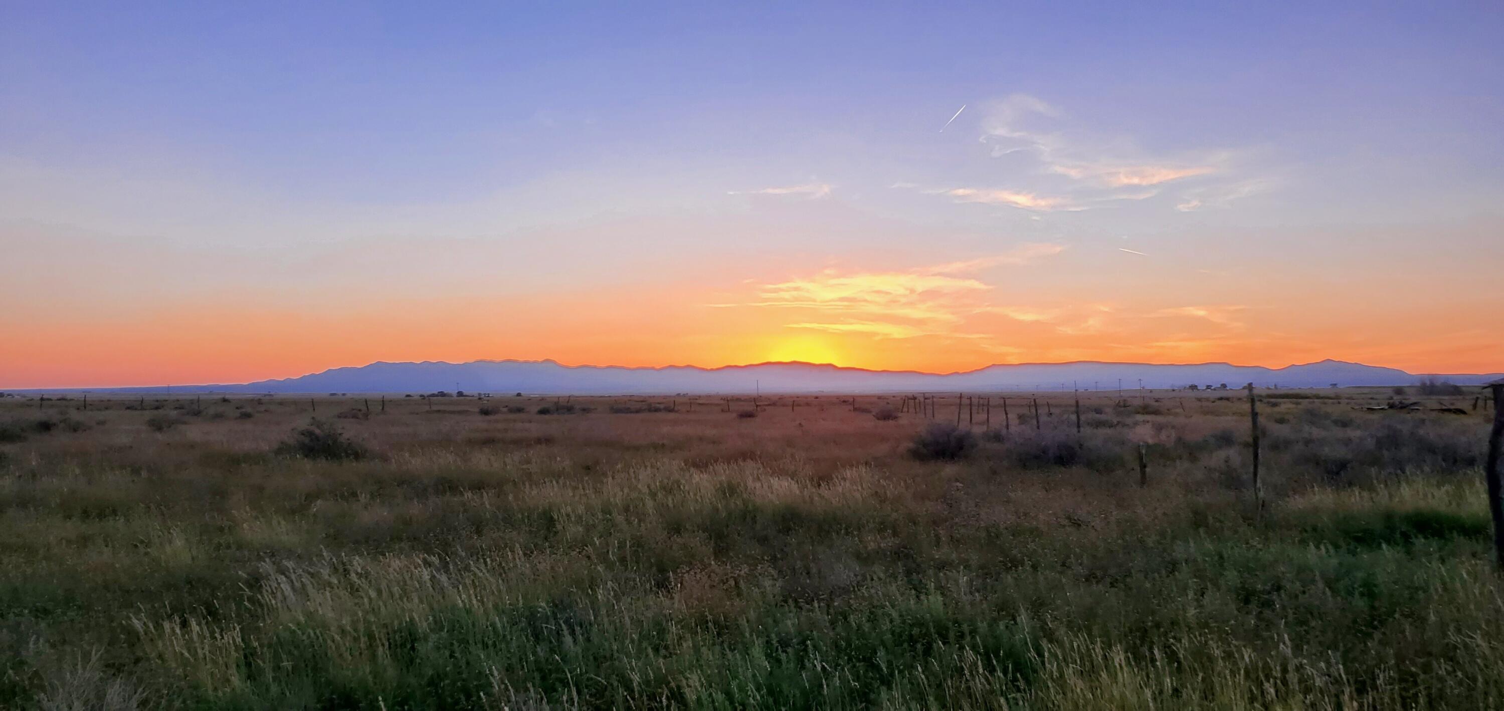 Homes for sale in Estancia, NM | Langley Langley Tract 2 40acre, Estancia, NM 87016 | MLS# 1092046