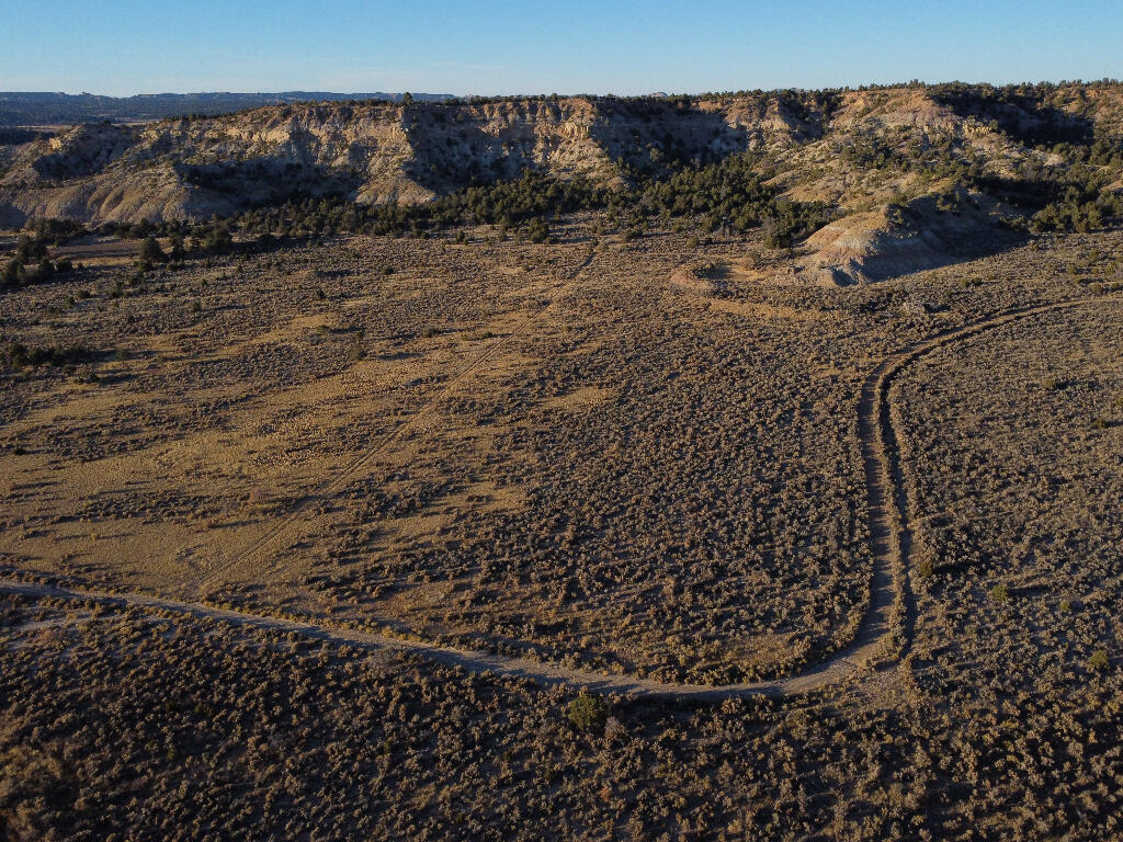Homes for sale in La Jara, NM | 0 Banco Rd, La Jara, NM 87027 | MLS# 1092051