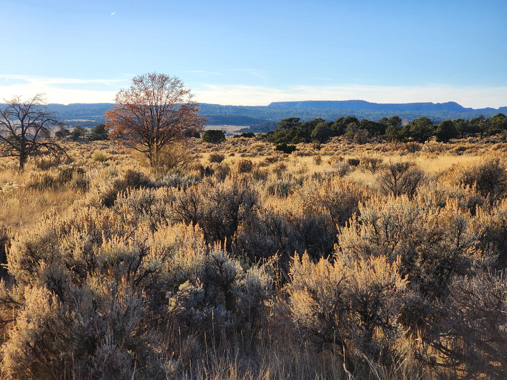 Homes for sale in La Jara, NM | 0 Banco Rd, La Jara, NM 87027 | MLS# 1092051