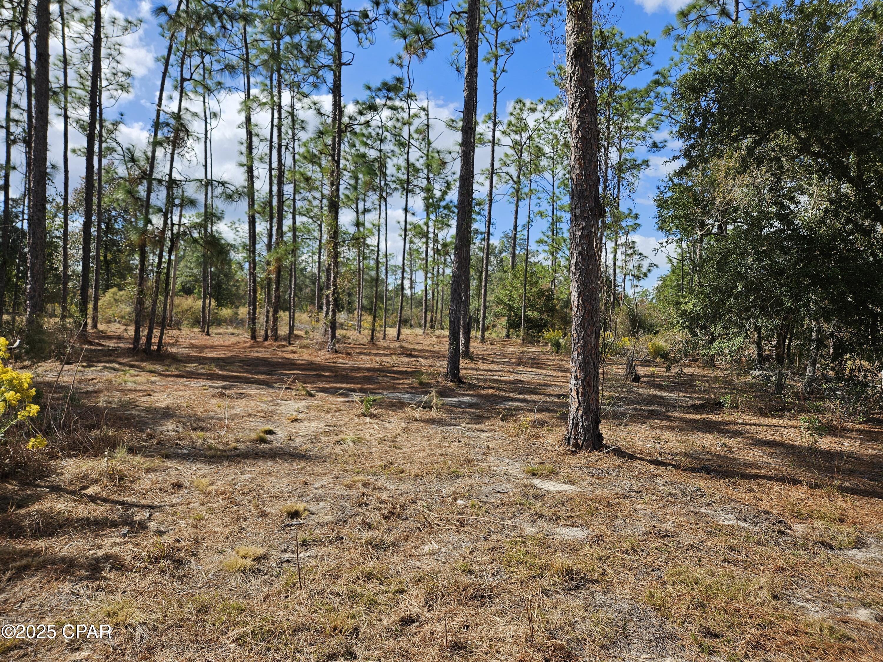 Image 10 For B-272 Springer Drive