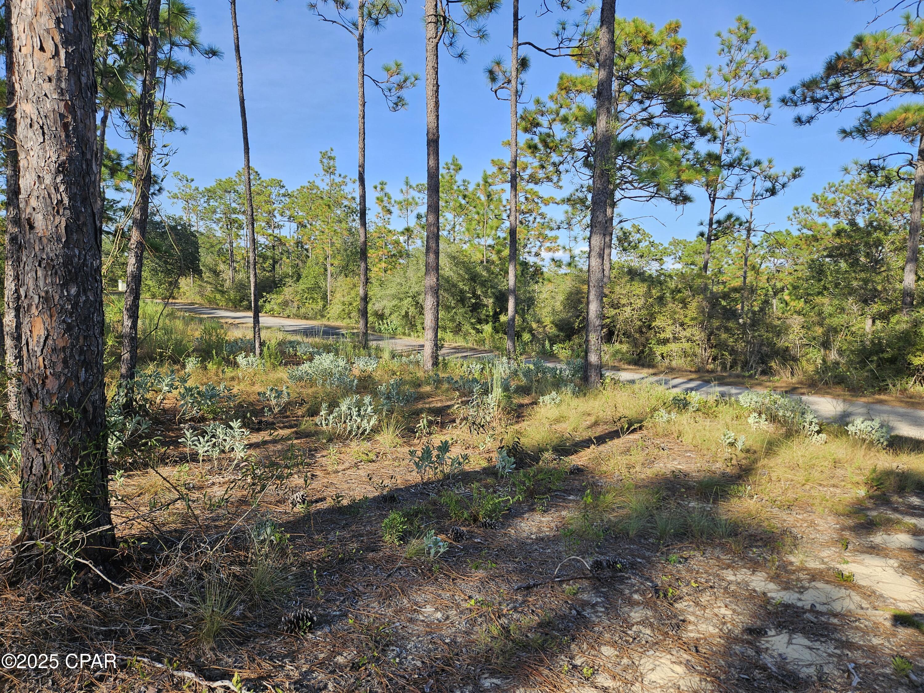 Image 2 For B-272 Springer Drive