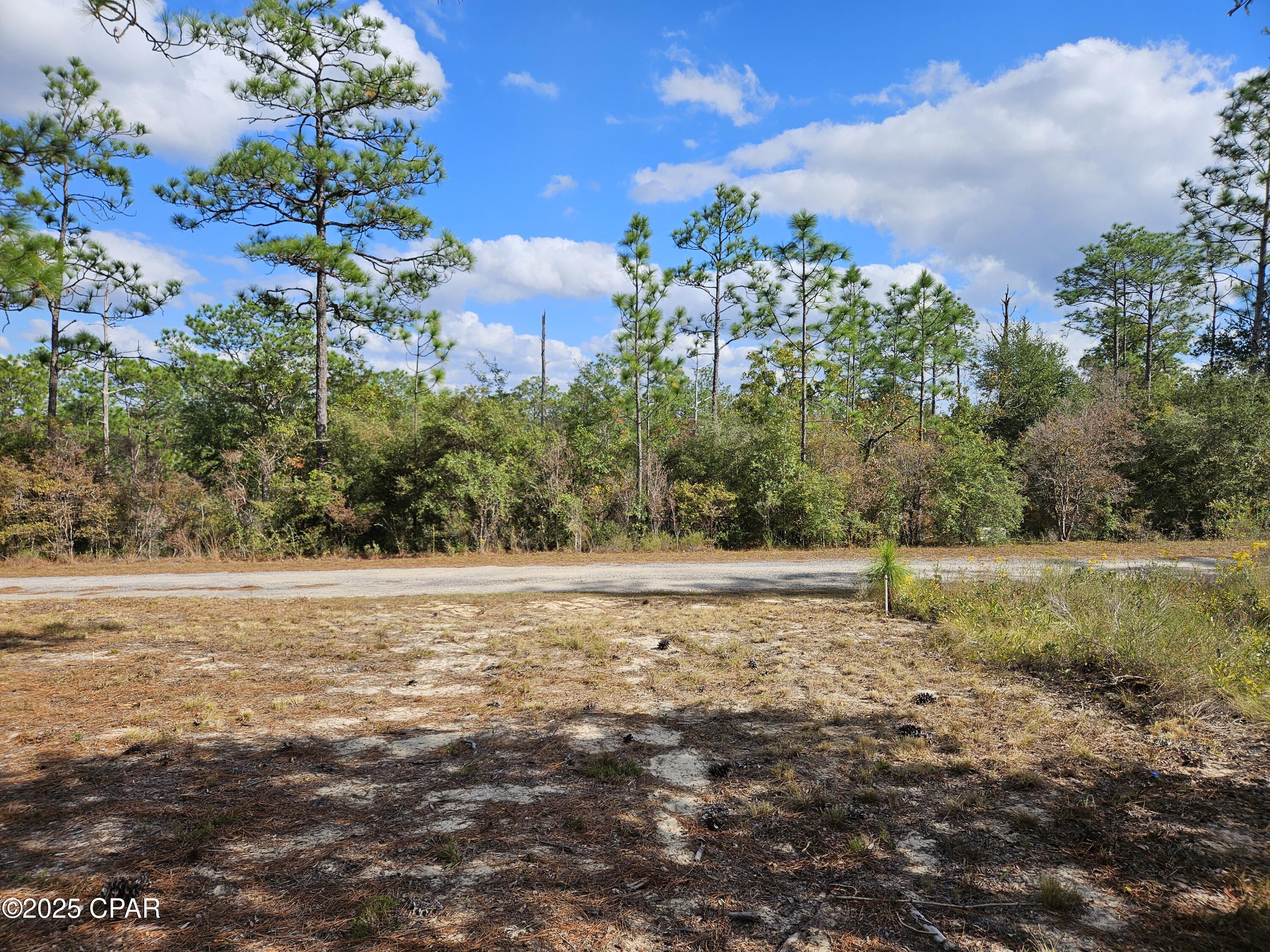 Image 3 For B-272 Springer Drive