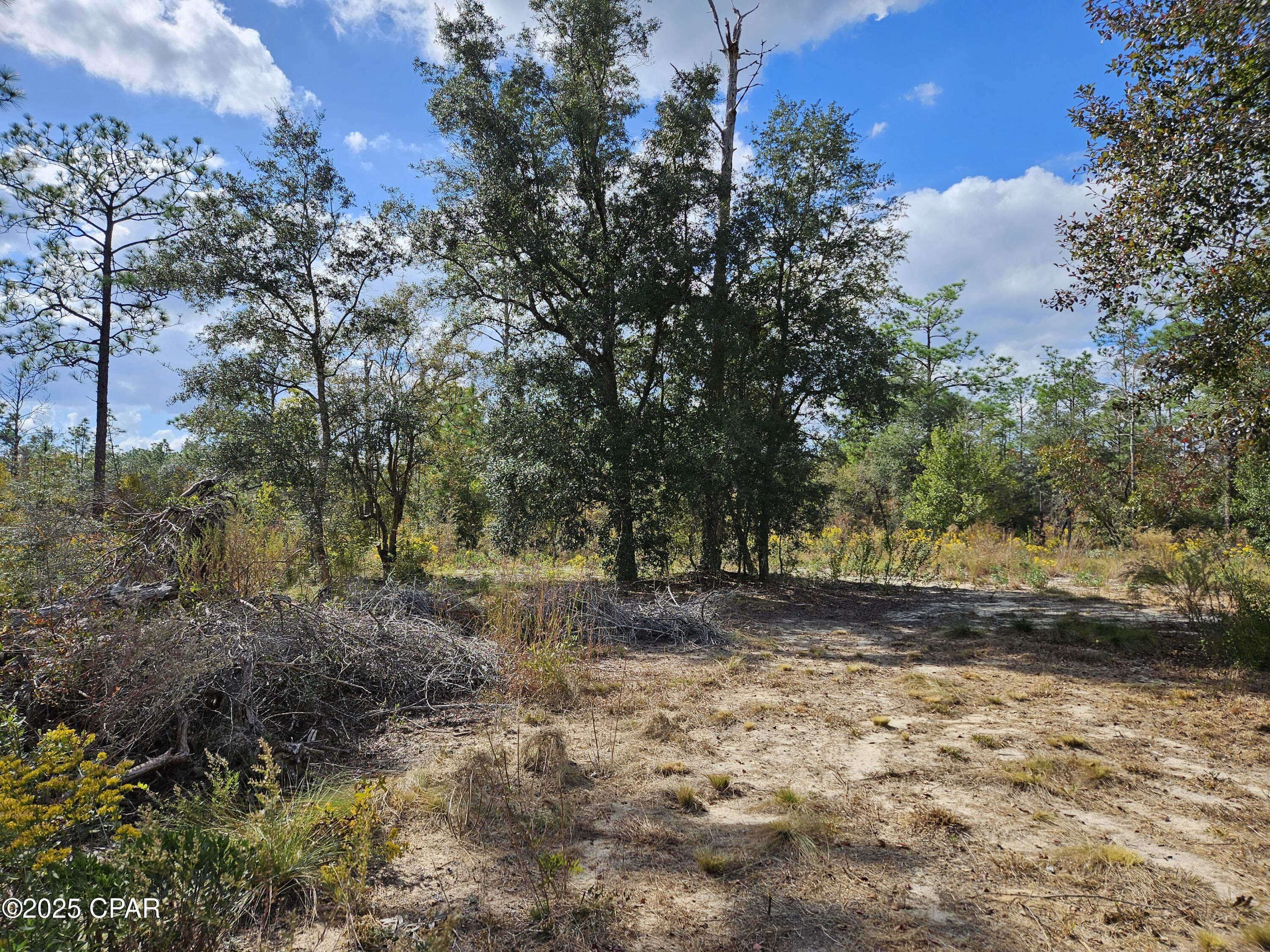 Image 4 For B-272 Springer Drive