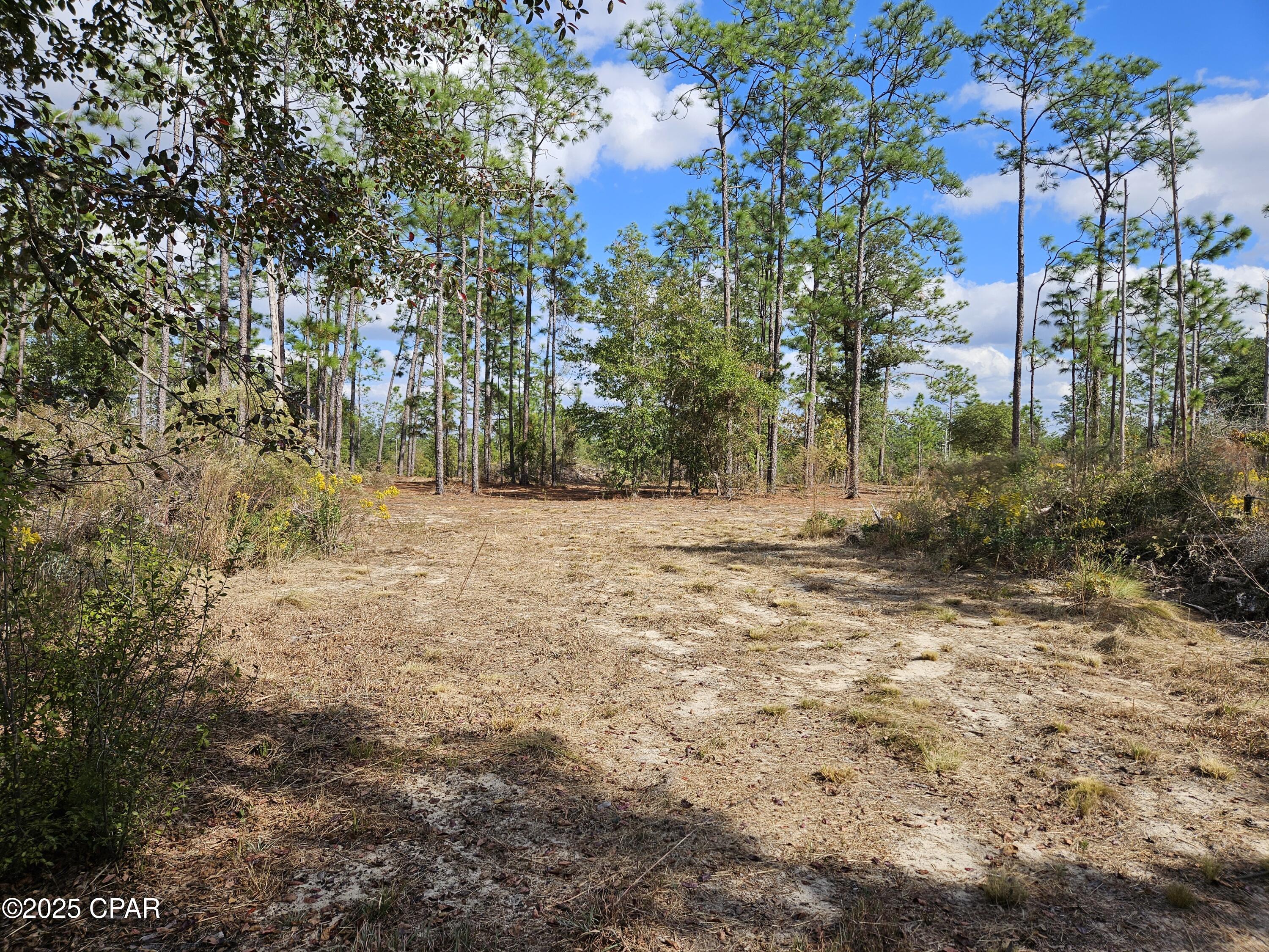 Image 5 For B-272 Springer Drive