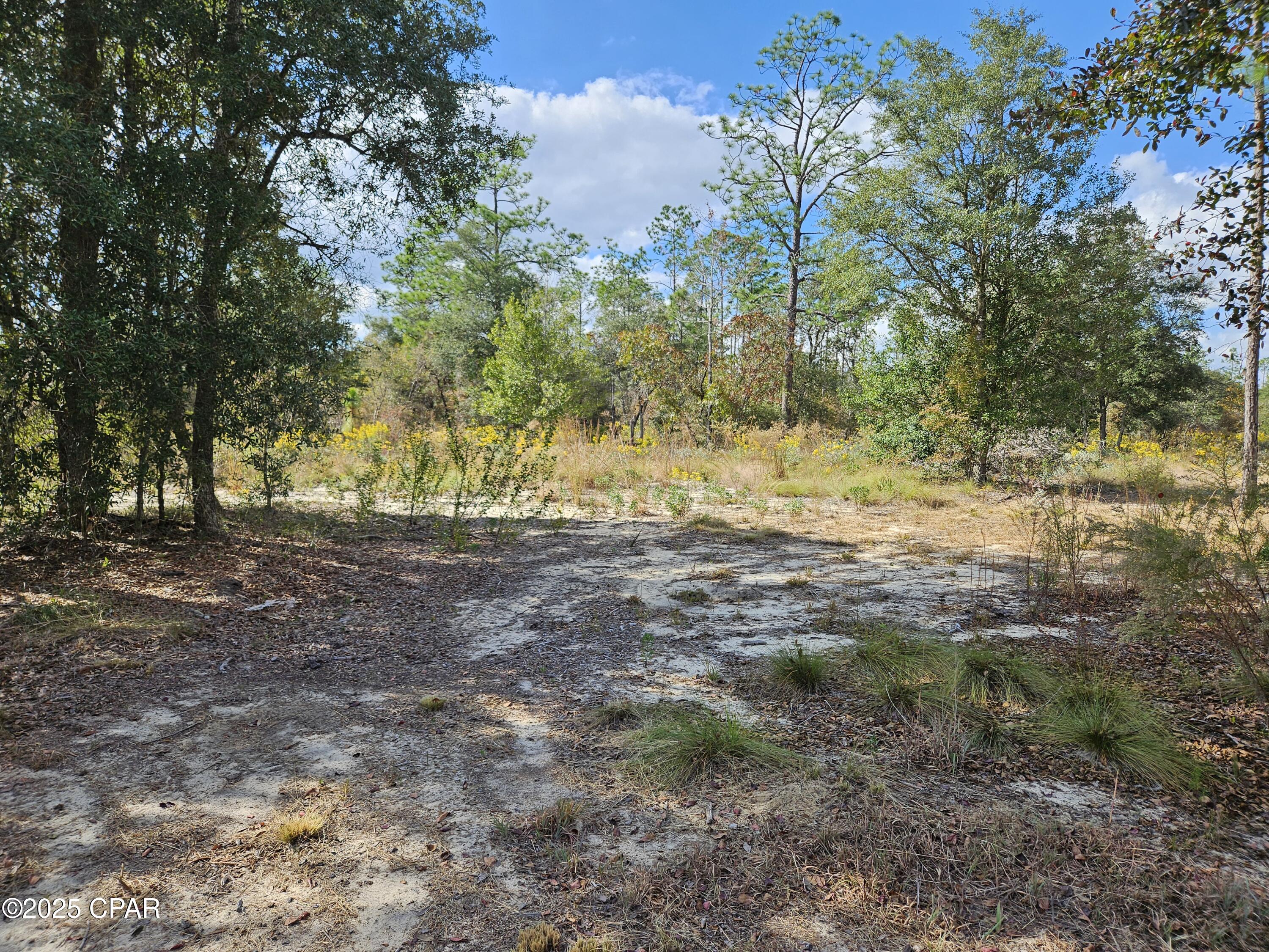 Image 7 For B-272 Springer Drive