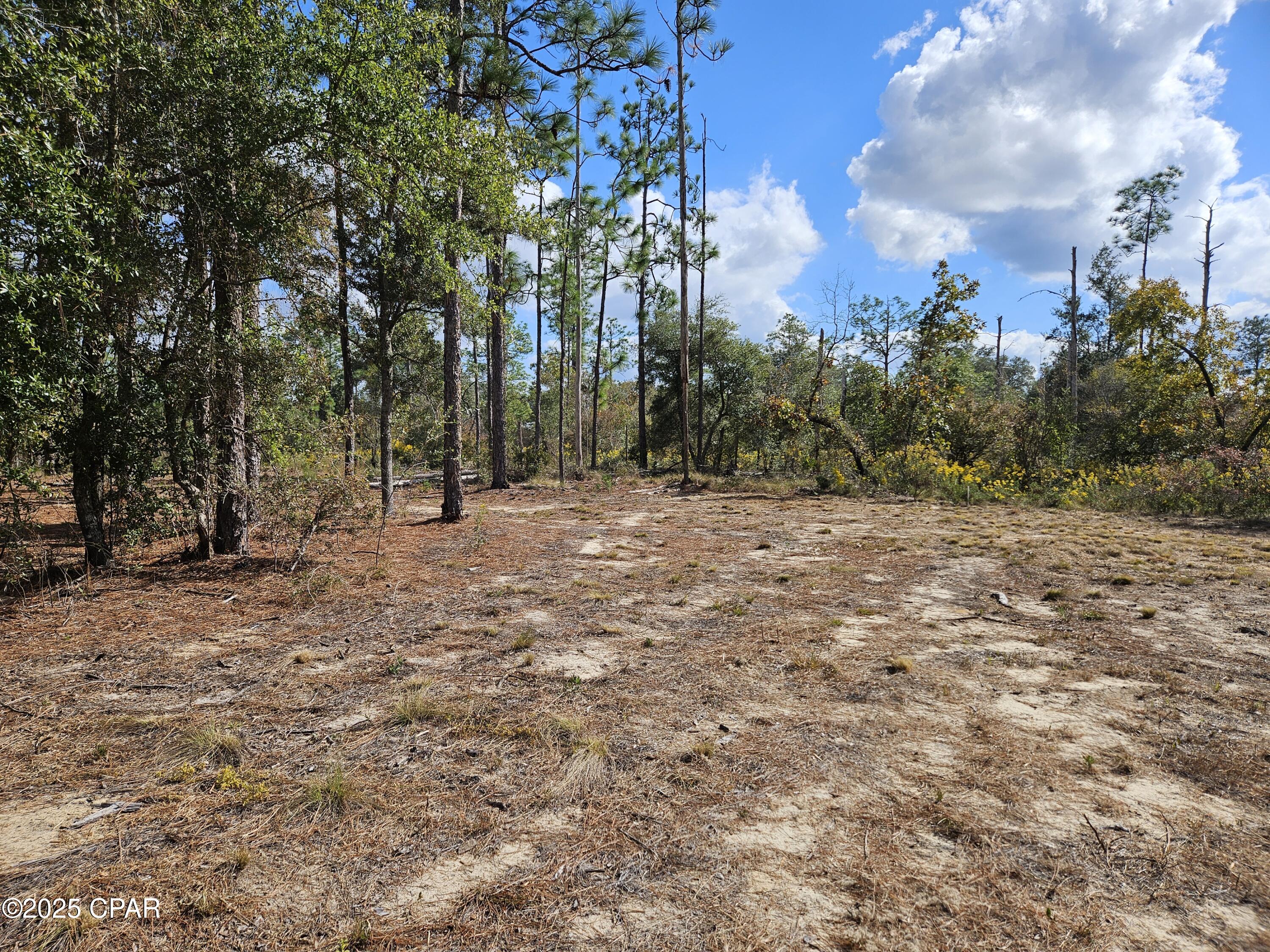 Image 8 For B-272 Springer Drive