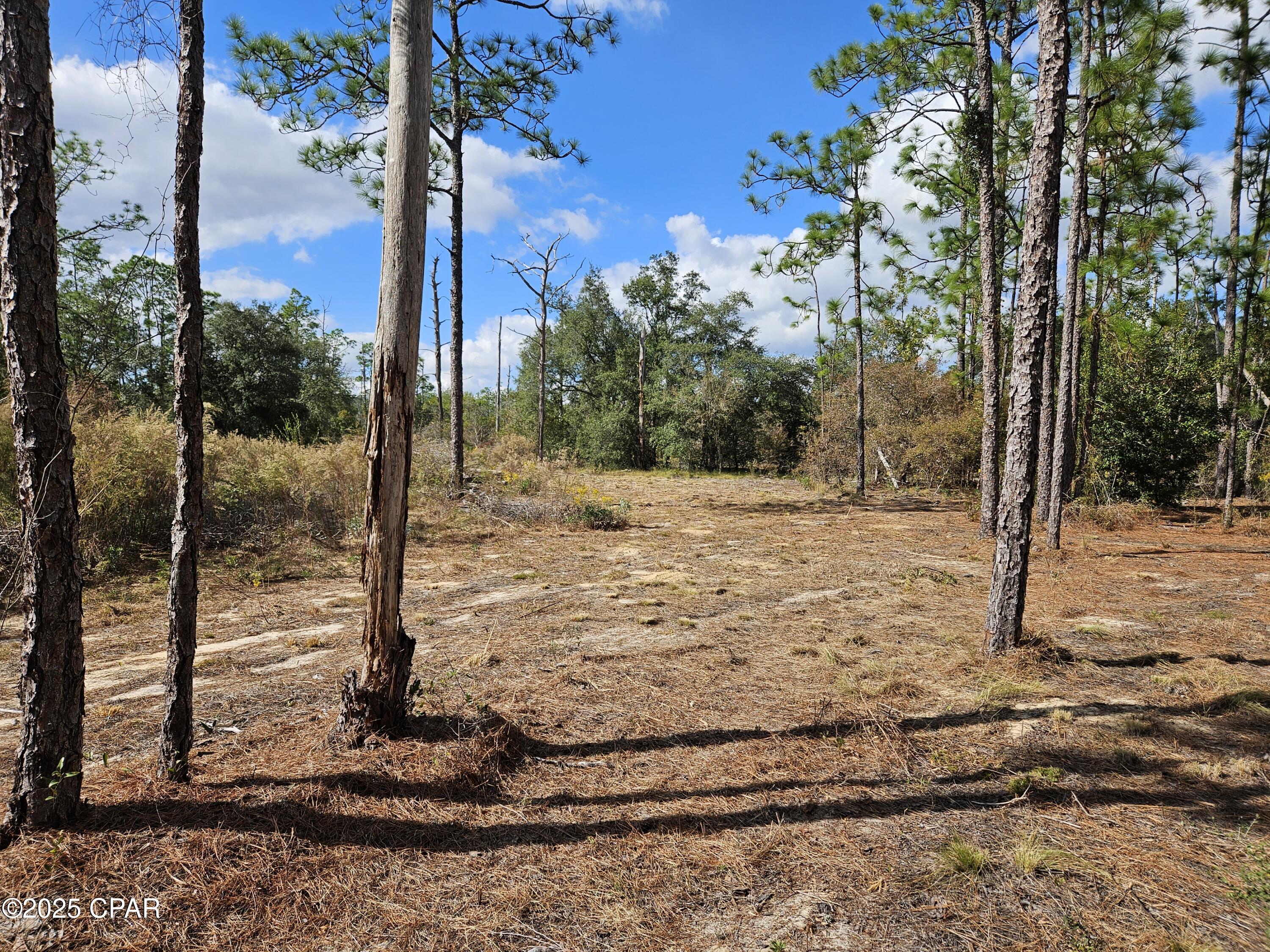 Image 9 For B-272 Springer Drive