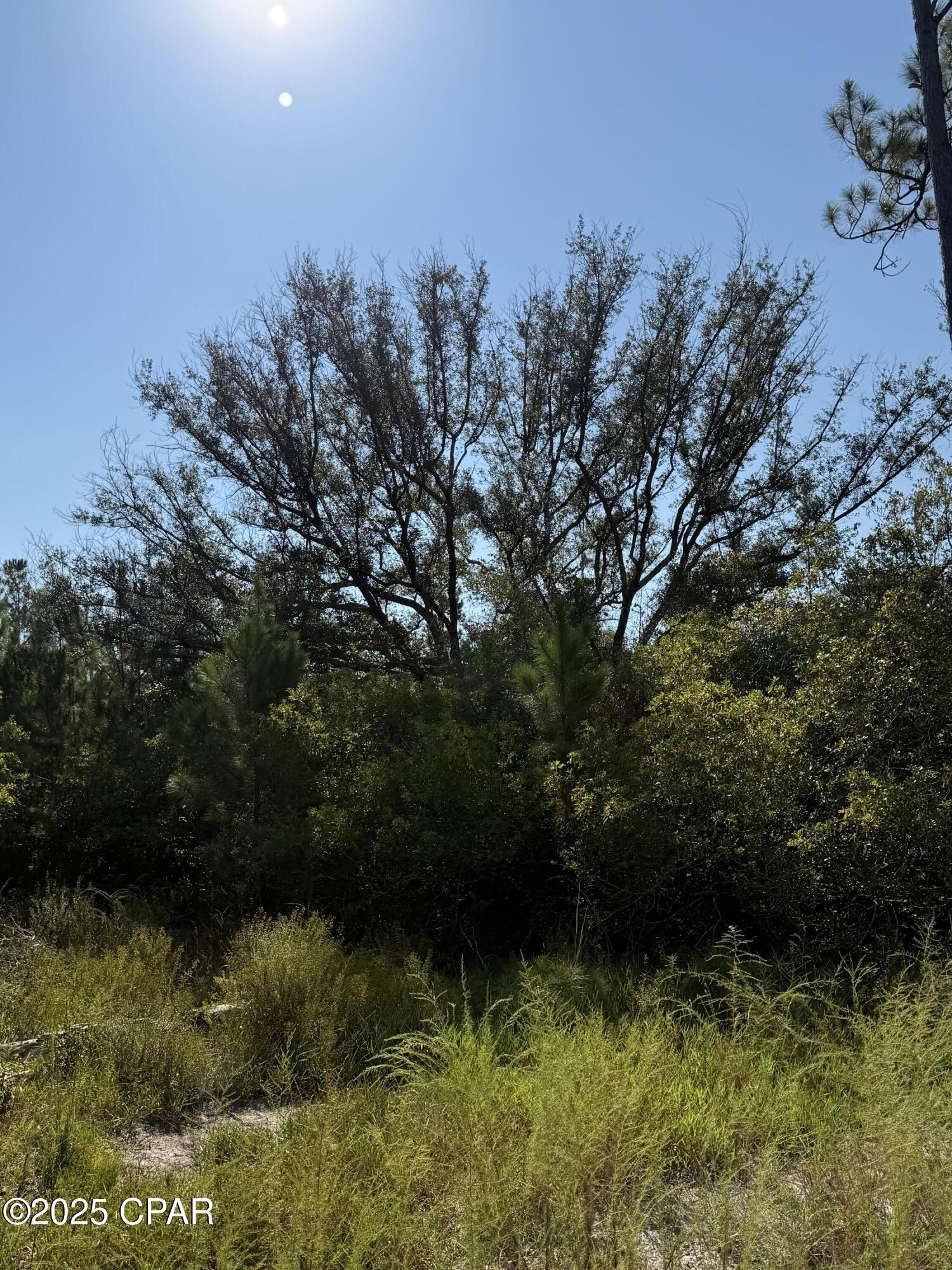 Image 27 For 0 Hasty Pond Road