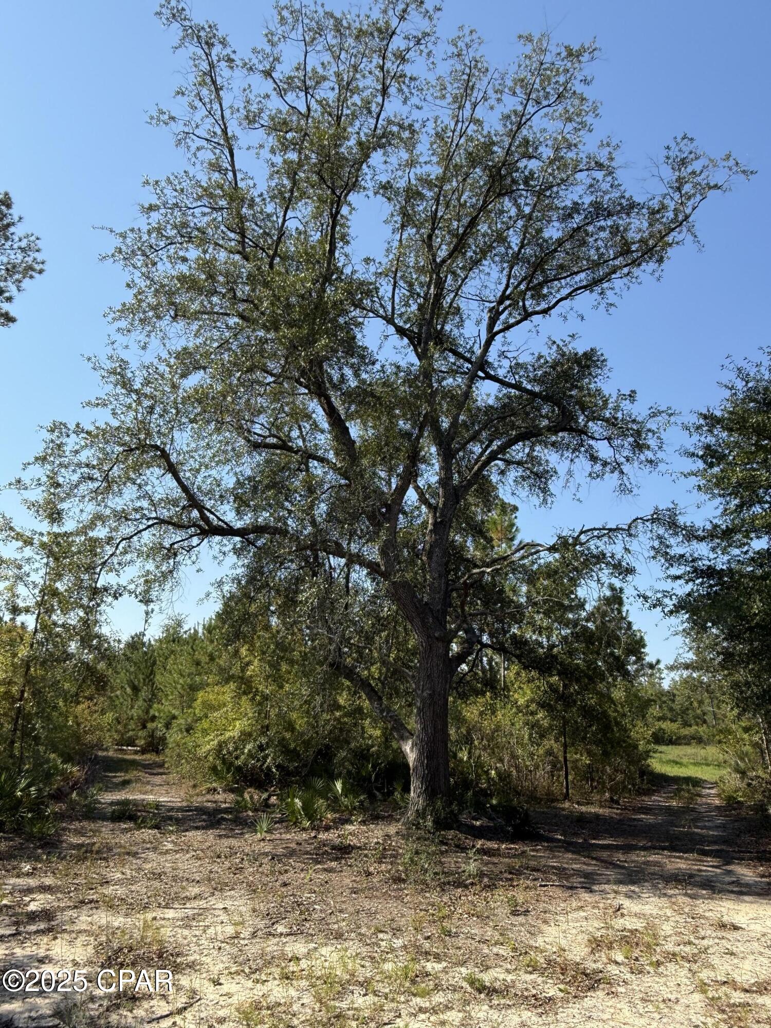 Image 28 For 0 Hasty Pond Road