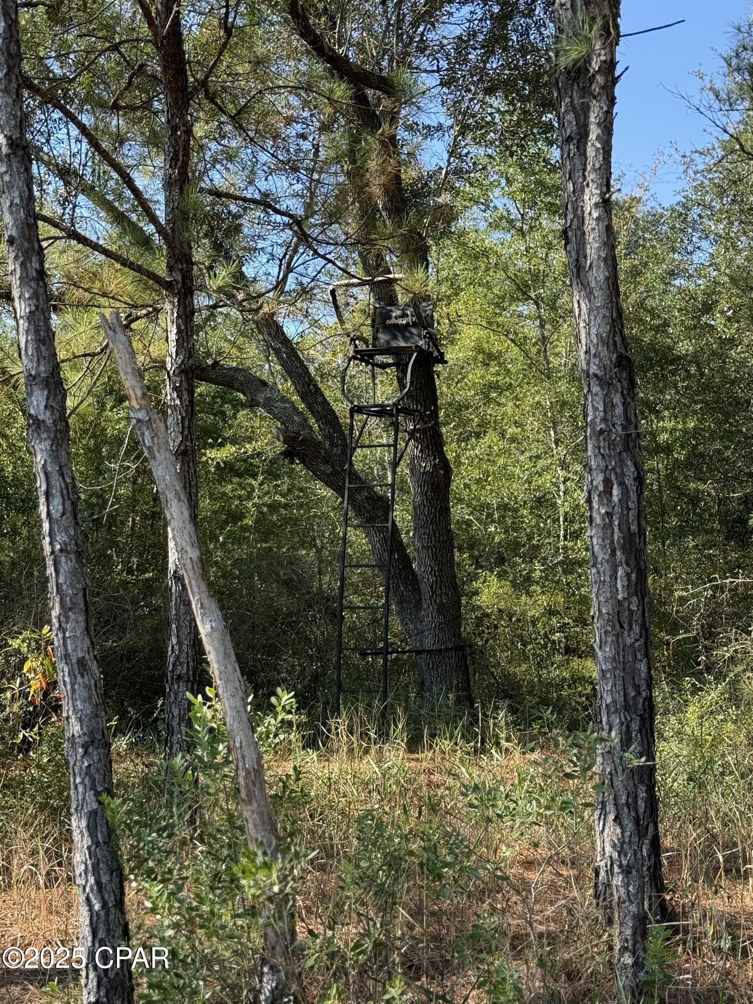 Image 33 For 0 Hasty Pond Road