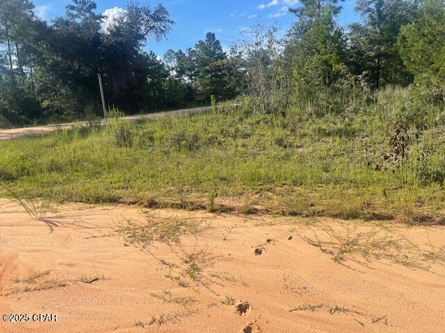 Details for A Nezperce Drive, Alford, FL 32420