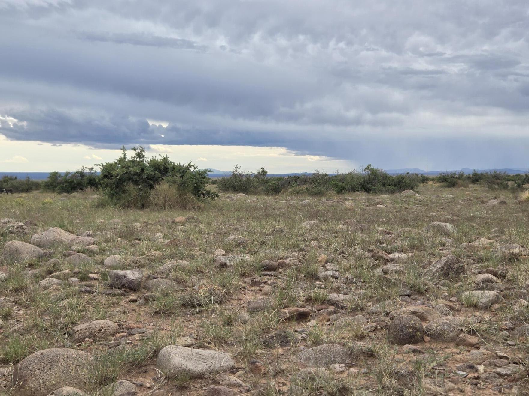 Homes for sale in San Antonio, NM | Vl Willow Springs Ranch Lot 2-9, San Antonio, NM 87832 | MLS# 1092073