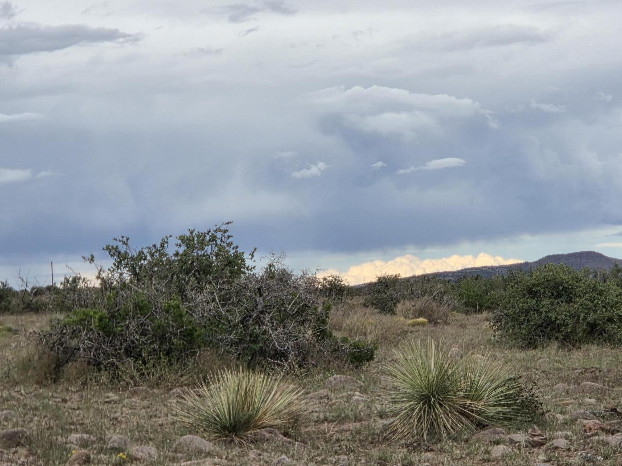 Homes for sale in San Antonio, NM | Vl Willow Springs Ranch Lot 2-9, San Antonio, NM 87832 | MLS# 1092073