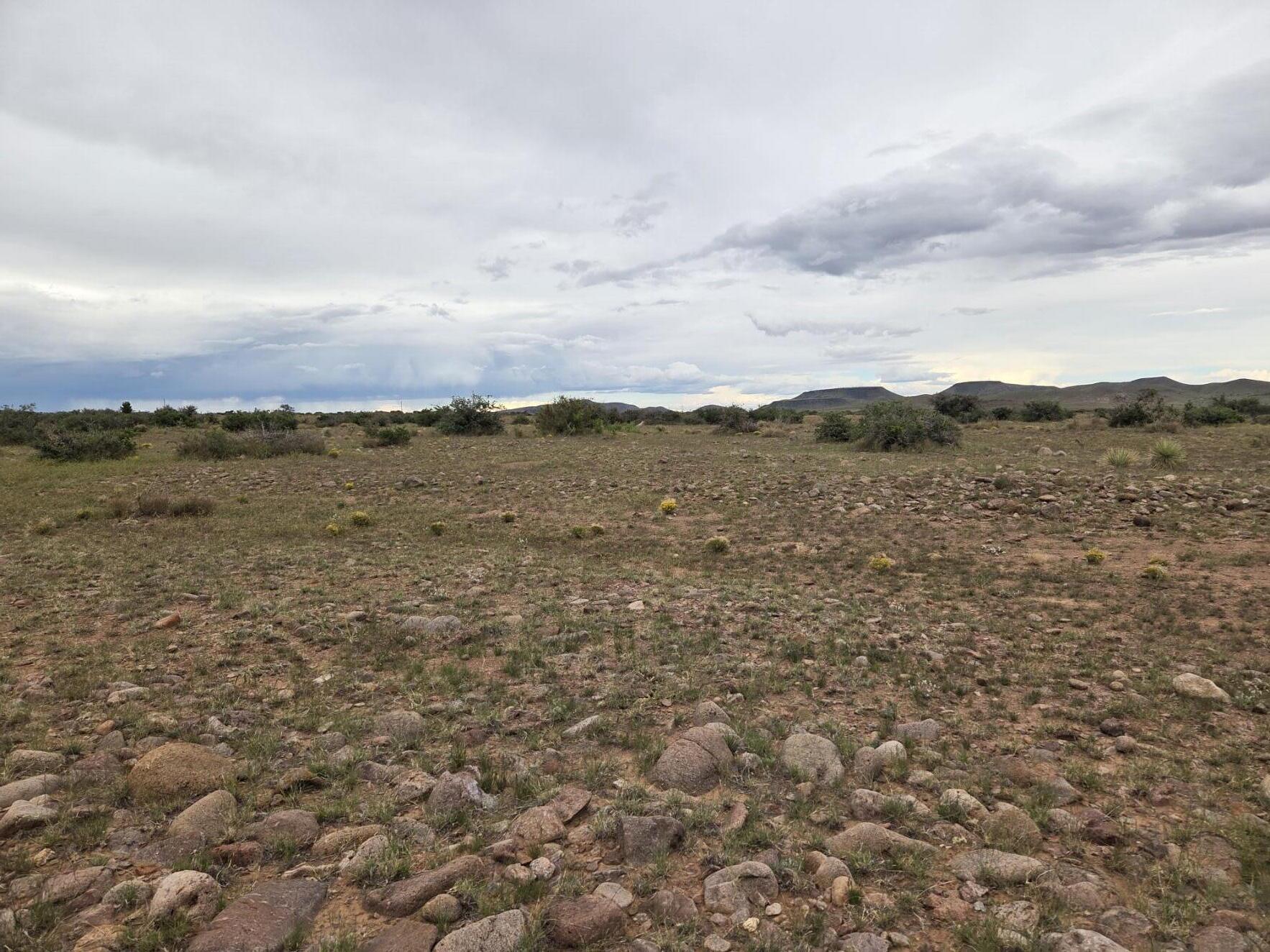 Homes for sale in San Antonio, NM | Vl Willow Springs Ranch Lot 2 6, San Antonio, NM 87832 | MLS# 1092074