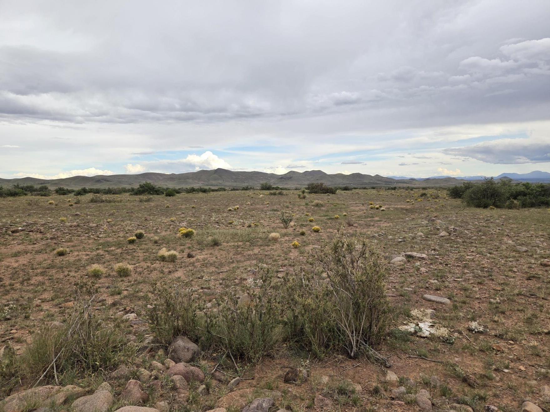 Homes for sale in San Antonio, NM | Vl Willow Springs Ranch Lot 2-6, San Antonio, NM 87832 | MLS# 1092074