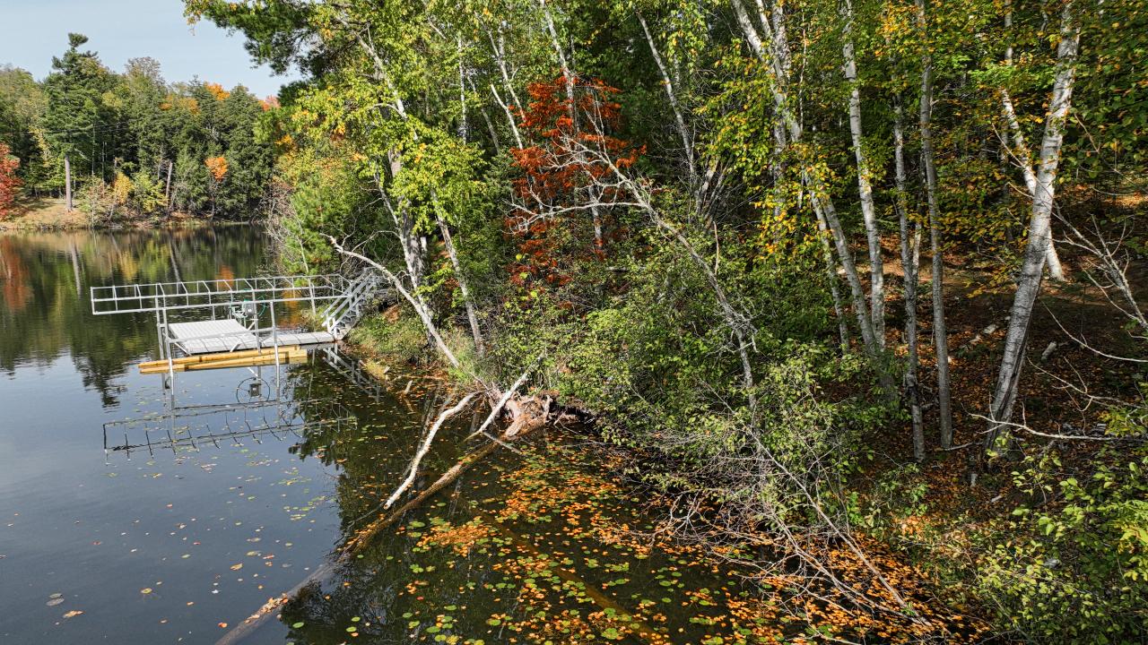 Van Vliet Lake Property 12022 Rottman Dr Photo 34