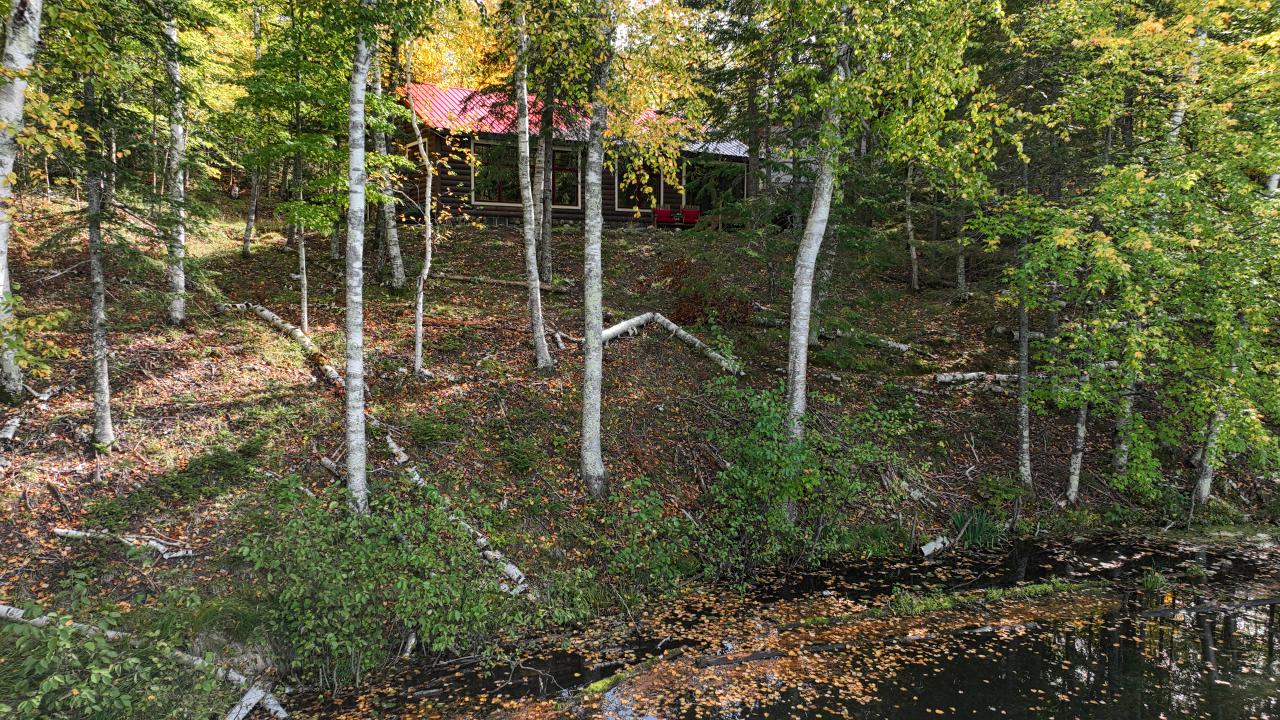 Van Vliet Lake Property 12022 Rottman Dr Photo 38