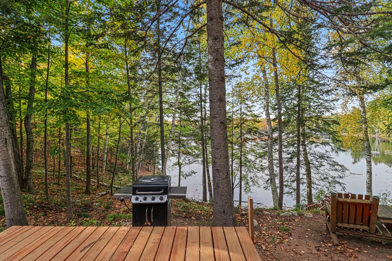 Van Vliet Lake Property 12022 Rottman Dr Photo 39