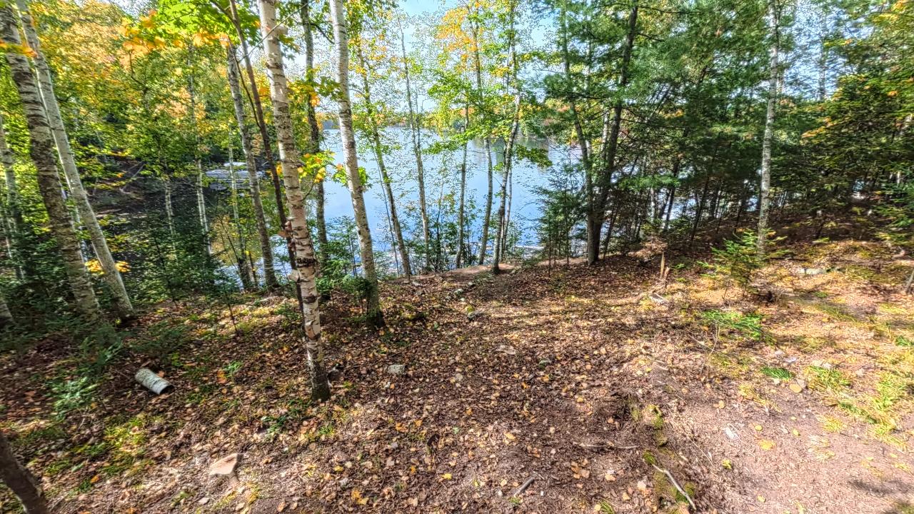 Van Vliet Lake Property 12022 Rottman Dr Photo 6
