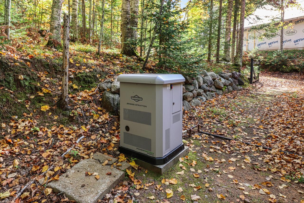 Van Vliet Lake Property 12022 Rottman Dr Photo 63