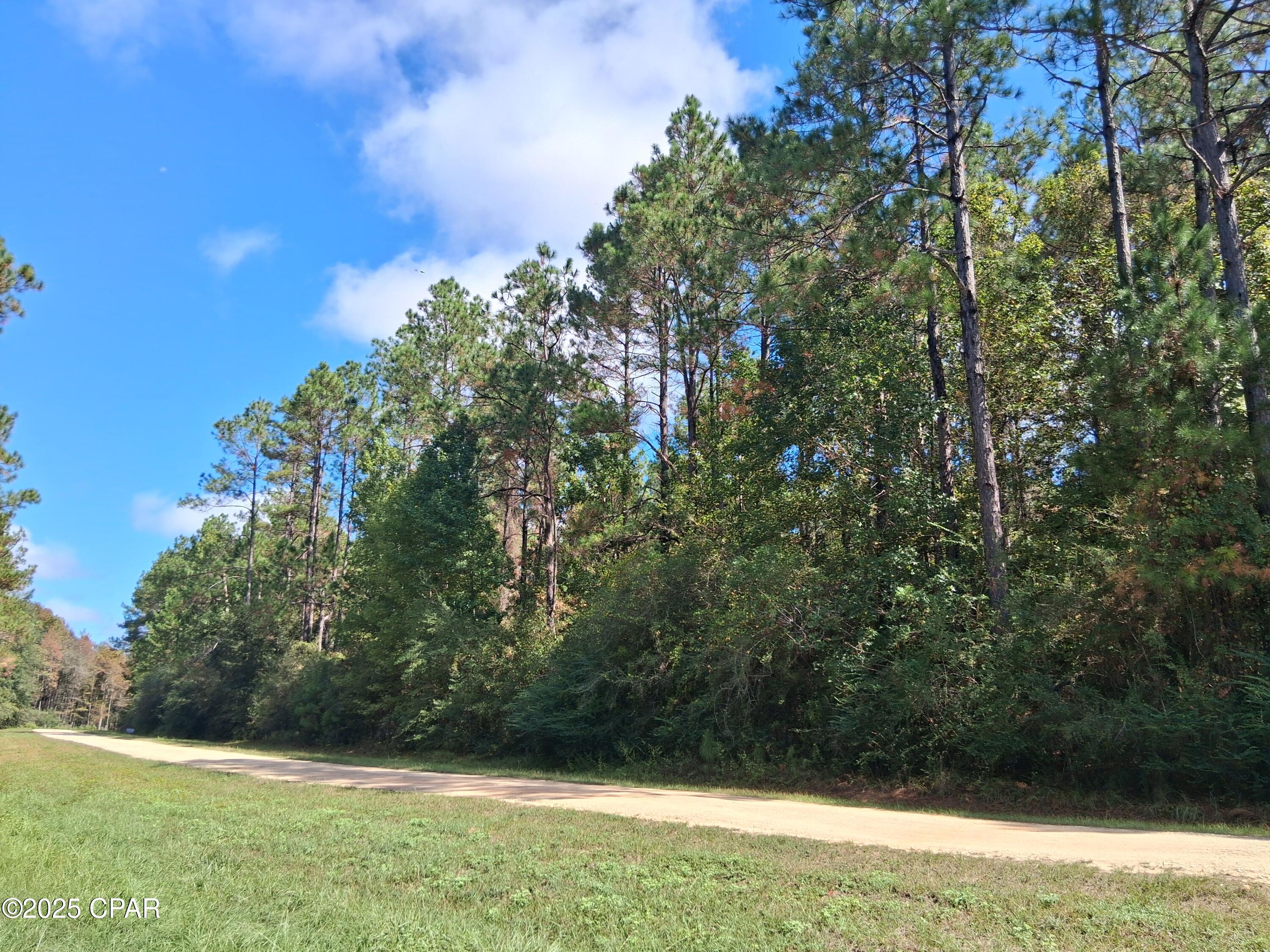 Image 5 For Lot 37 Alder Lane