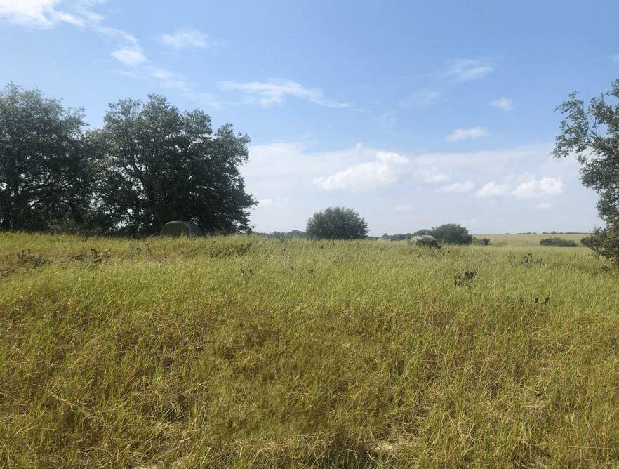 Homes for sale in Babson Park, FL | 0 Libby Road, Babson Park, FL 33827 | MLS# F10529077