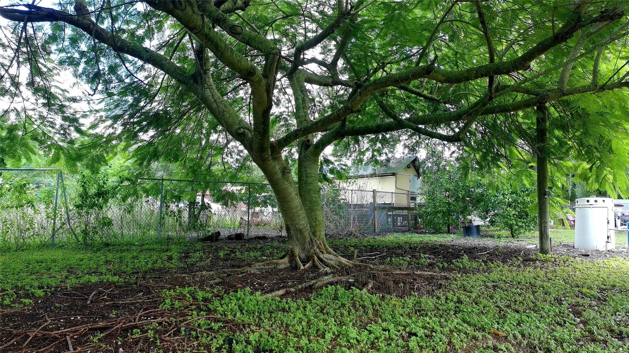 Homes for sale in Clewiston, FL | 475 N Arboleda St, Clewiston, FL 33440 | MLS# F10528965