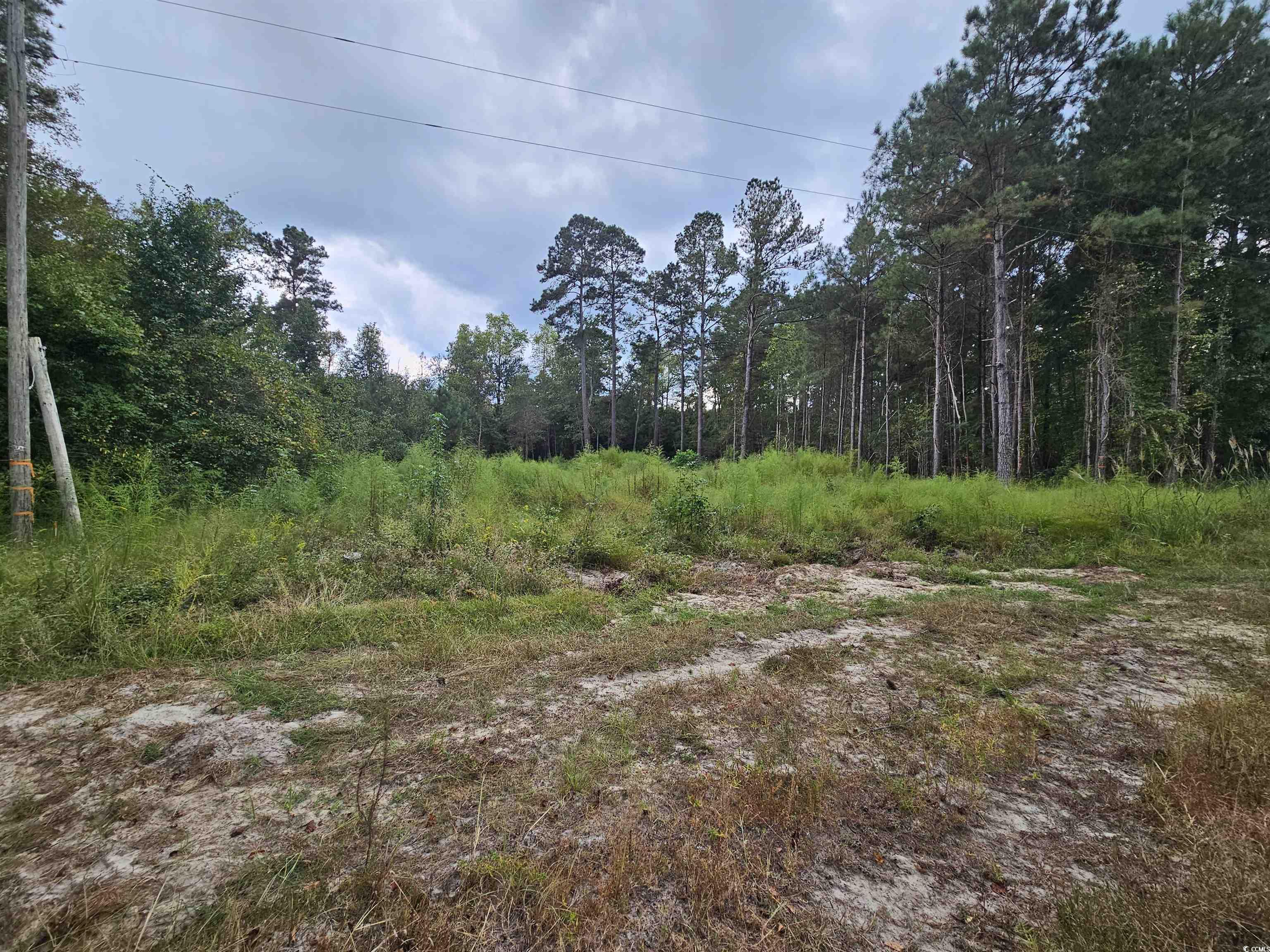 Monument Ct Marion, SC 29571