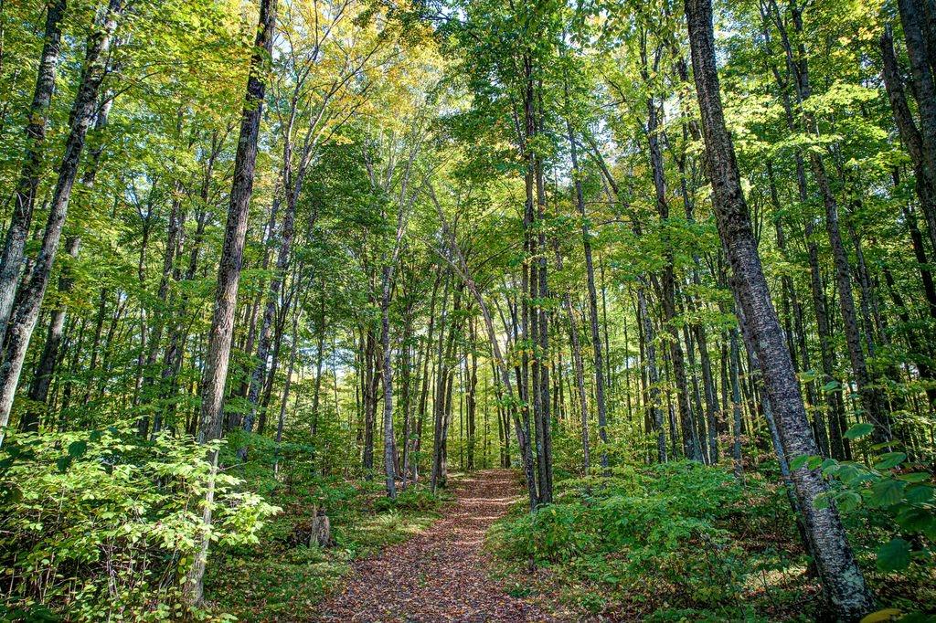 Little Long Lake Property 6883 Little Long Lake Ln Photo 50
