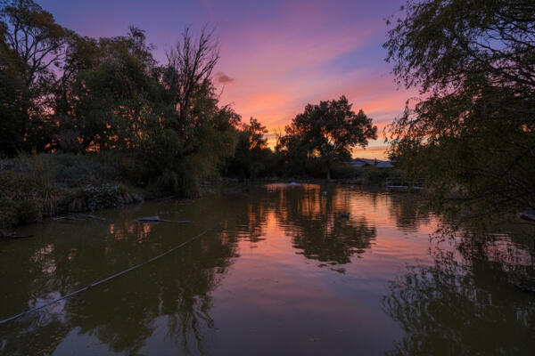 Homes for sale in Corrales, NM | 140 Ranchitos Rd, Corrales, NM 87048 | MLS# 1092178