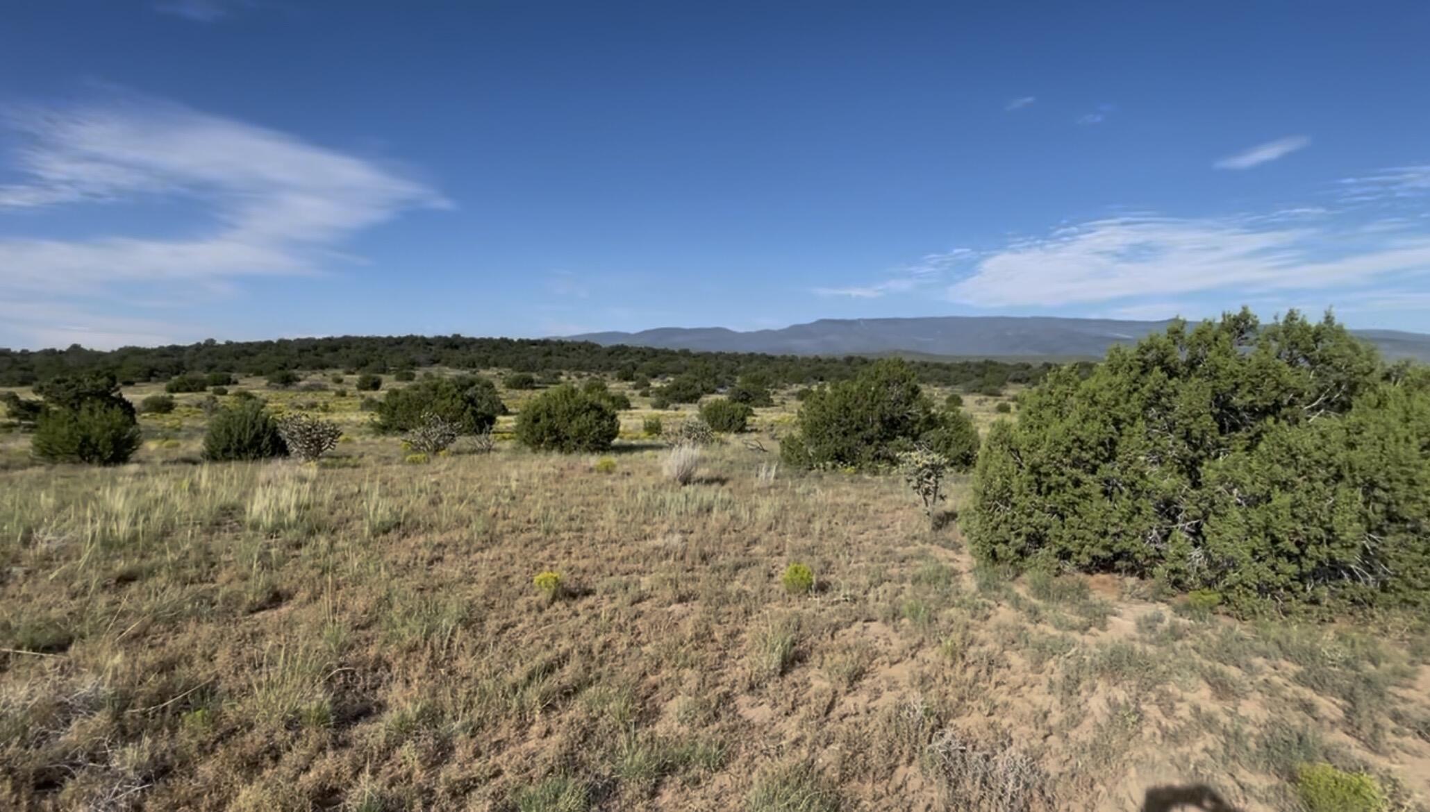 Homes for sale in Sandia Park, NM | 21 Via Entrada, Sandia Park, NM 87047 | MLS# 1092188