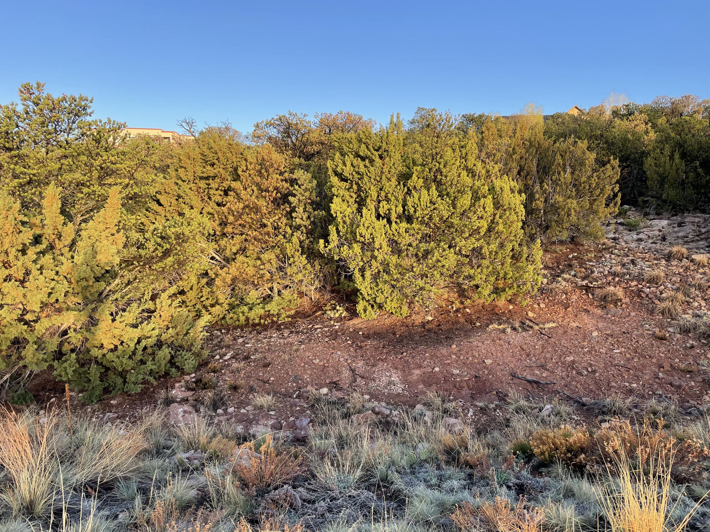 Homes for sale in Sandia Park, NM | 15 Tigua Dr, Sandia Park, NM 87047 | MLS# 1092205