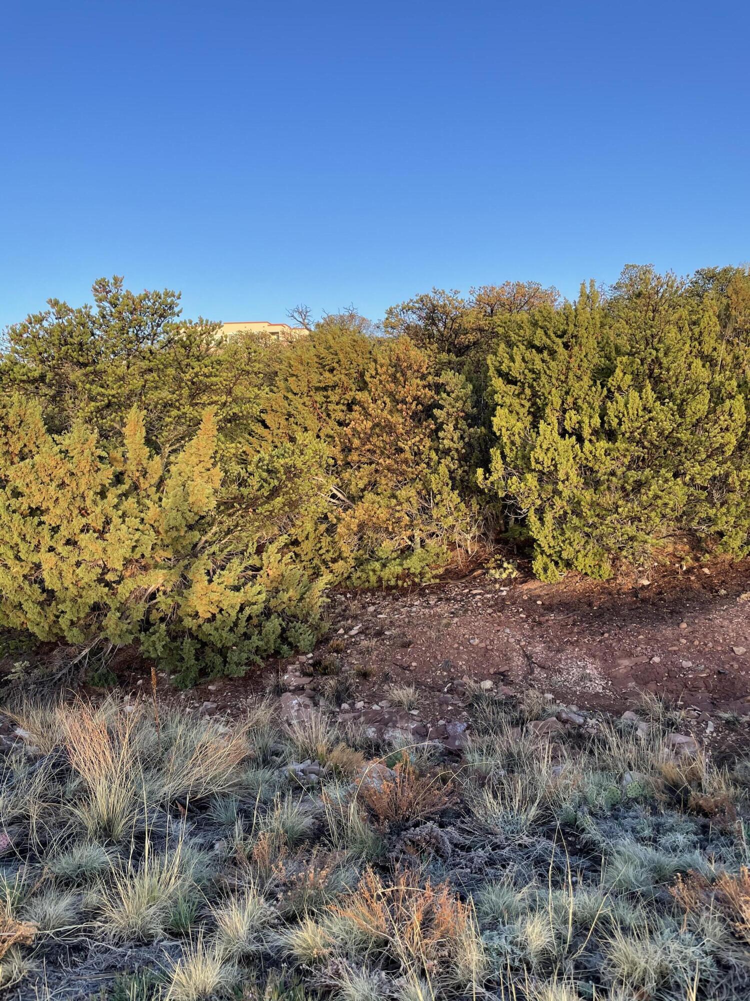 Homes for sale in Sandia Park, NM | 15 Tigua Dr, Sandia Park, NM 87047 | MLS# 1092205