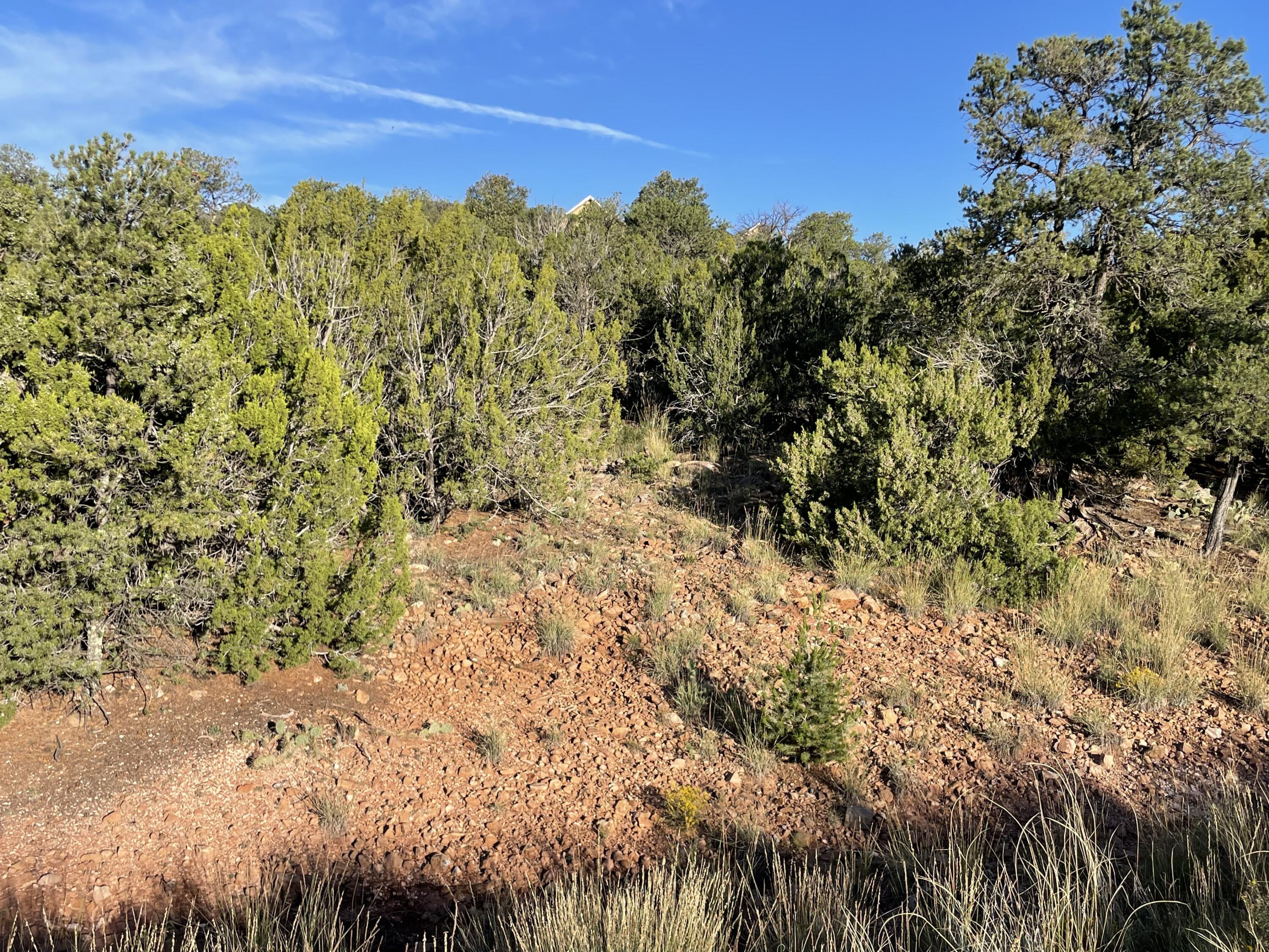 Homes for sale in Sandia Park, NM | 15 Tigua Dr, Sandia Park, NM 87047 | MLS# 1092205