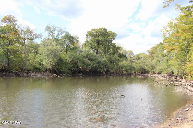 Image 12 For 15003 Bass Drive