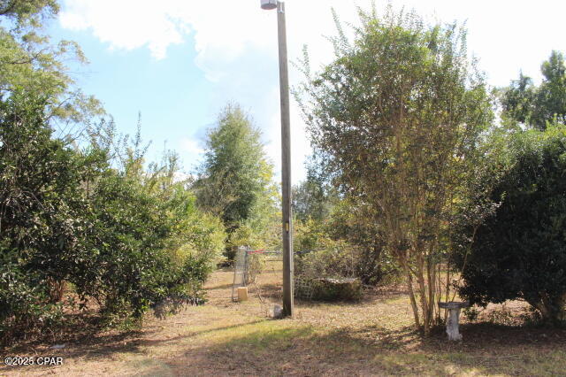 Listing photo id 45 for 15003 Bass Drive