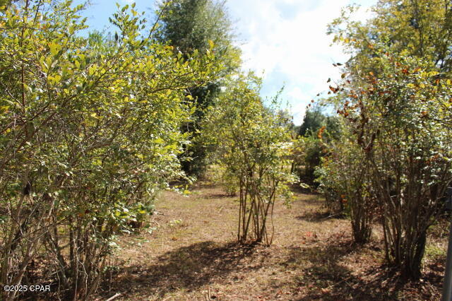 Listing photo id 46 for 15003 Bass Drive