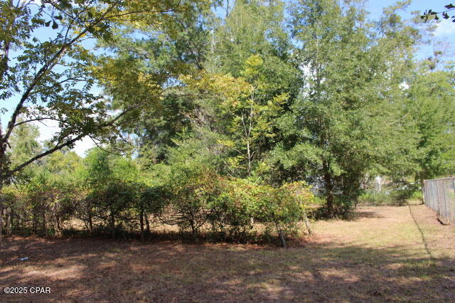 Image 49 For 15003 Bass Drive