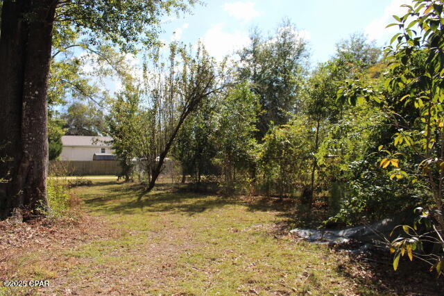 Listing photo id 65 for 15003 Bass Drive