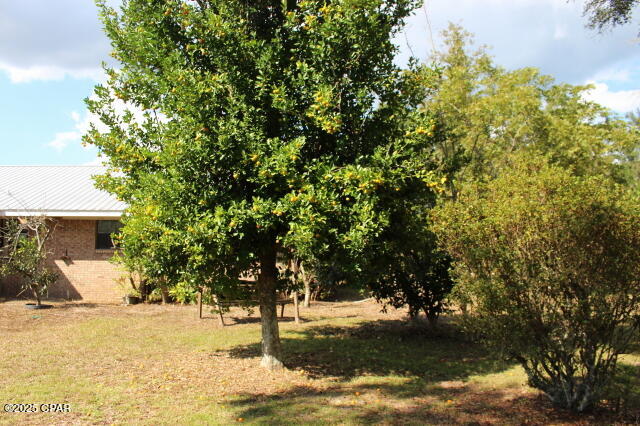 Listing photo id 72 for 15003 Bass Drive