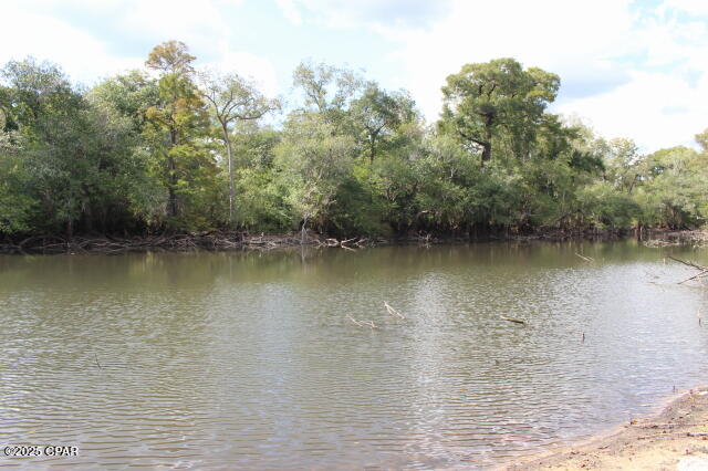 Image 9 For 15003 Bass Drive